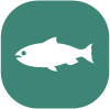 peces