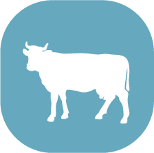 toro